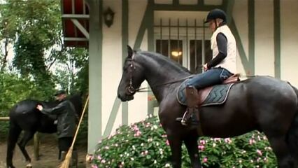 Эти две сестры | The Two Sisters — порно фильм с переводом