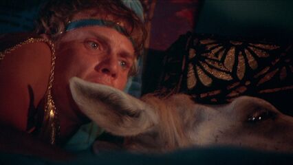 Калигула - полнометражный порно фильм с русским переводом