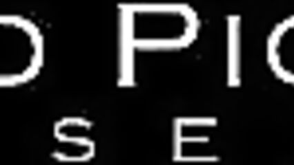 Случайная Шлюха / The Accidental Hooker (2008) на русском языке