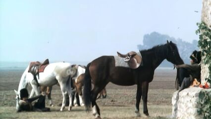 Екатерина, обнажённая царица (Katharina und ihre wilden Hengste)